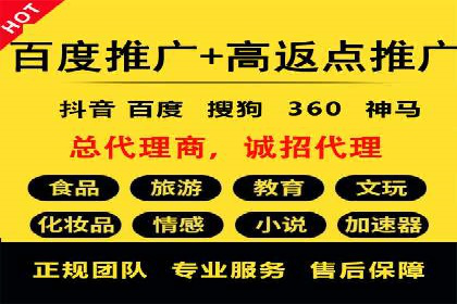 百度竞价排名机制：成功案例与策略探讨